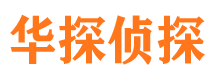 秦安市调查公司